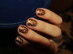 Модный дизайн ногтей 2013 - леопардовый