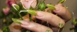 рисунки на ногтях дома своими руками фото рисунки на ногтях дома своими руками фото